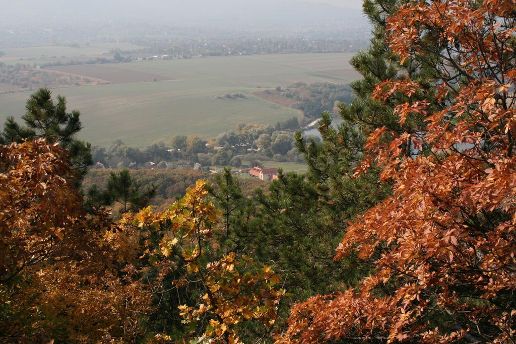 Pensjonat Malomdulo Farmhaz Pilisborosjenő Zewnętrze zdjęcie