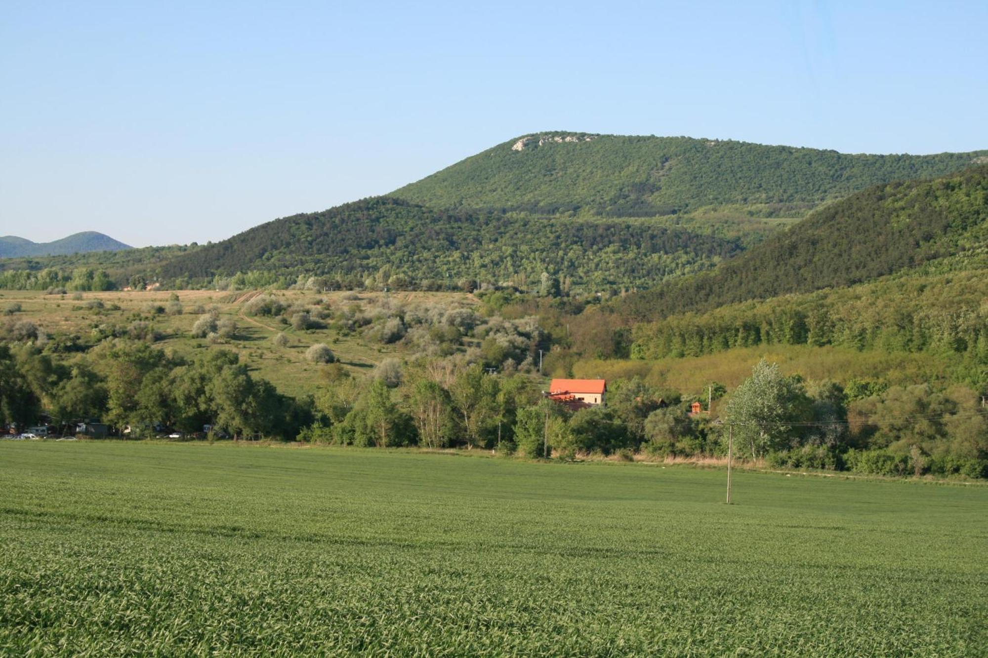 Pensjonat Malomdulo Farmhaz Pilisborosjenő Zewnętrze zdjęcie