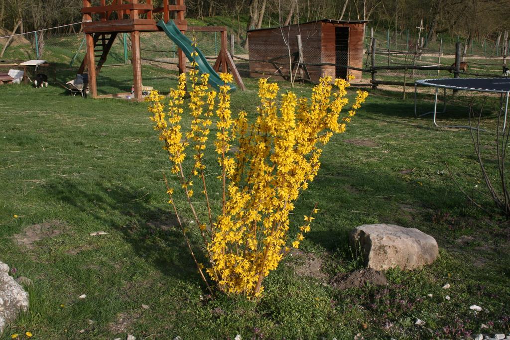 Pensjonat Malomdulo Farmhaz Pilisborosjenő Zewnętrze zdjęcie