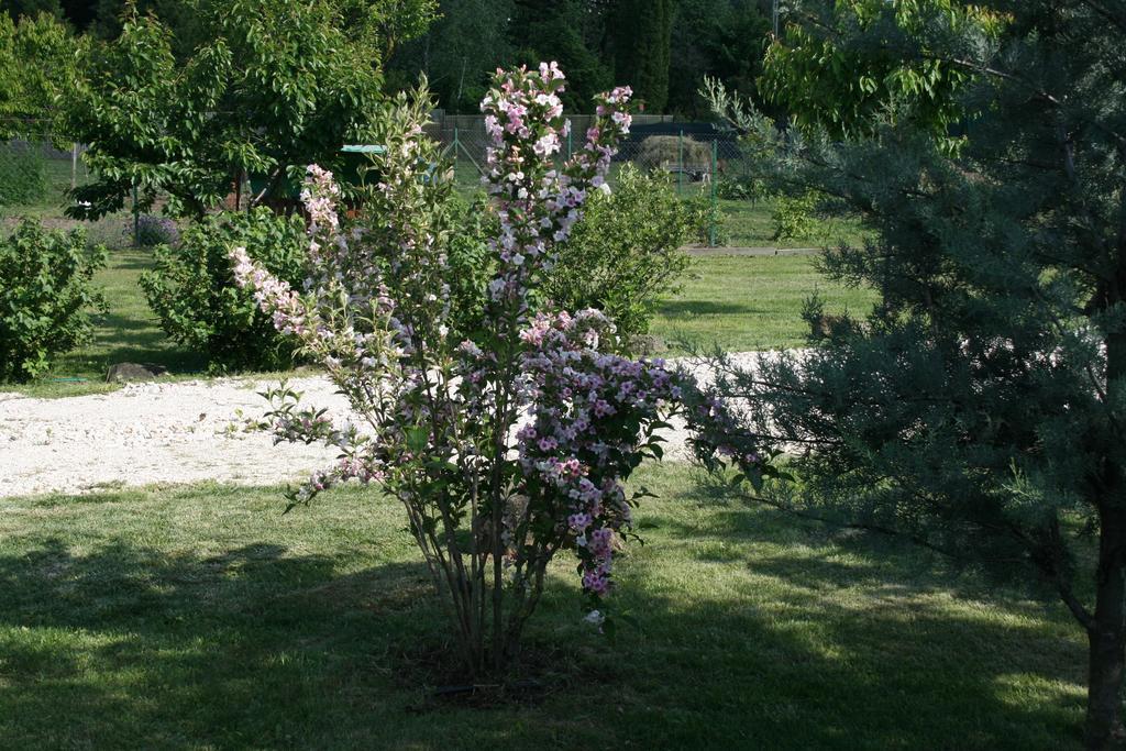 Pensjonat Malomdulo Farmhaz Pilisborosjenő Zewnętrze zdjęcie